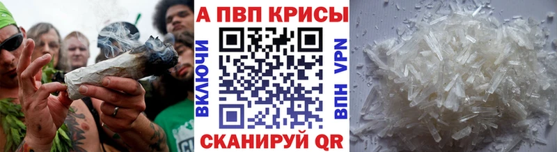 A-PVP СК КРИС  Котлас 