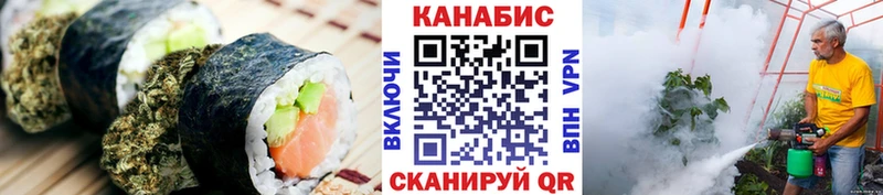 Canna-Cookies марихуана  Котлас 