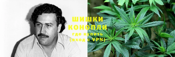 ГАЛЛЮЦИНОГЕННЫЕ ГРИБЫ Алексеевка
