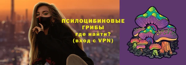 не бодяженный Алексин