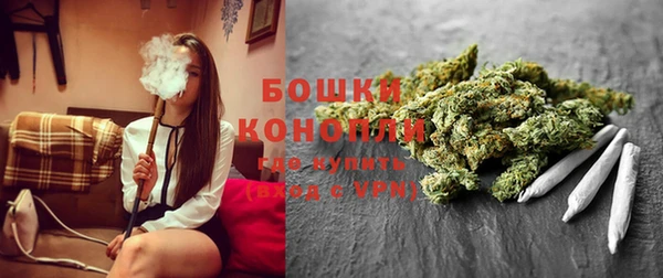 ГАЛЛЮЦИНОГЕННЫЕ ГРИБЫ Алексеевка