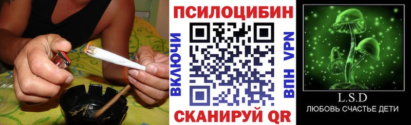 Галлюциногенные грибы ЛСД  закладки  Котлас 