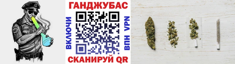 Шишки марихуана планчик  ссылка на мегу вход  Котлас  наркотики 